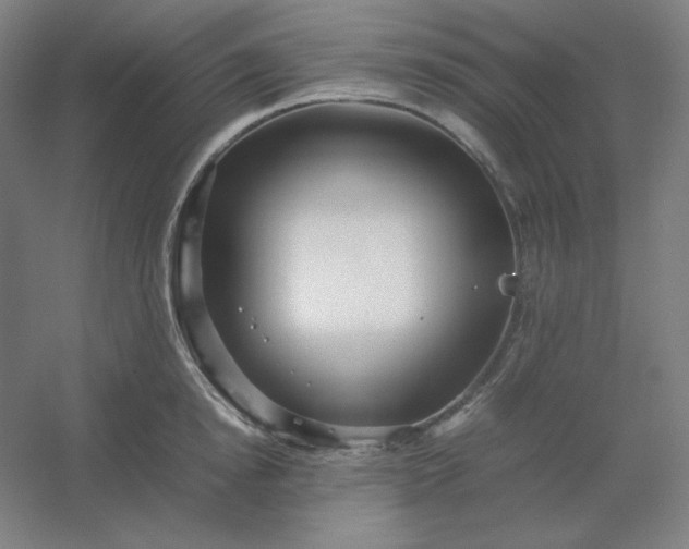 X0000054410854200508121723