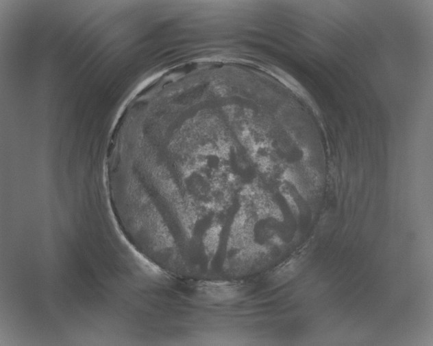 X0000054410855200508121723