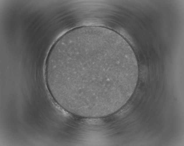 X0000054410856200508121723