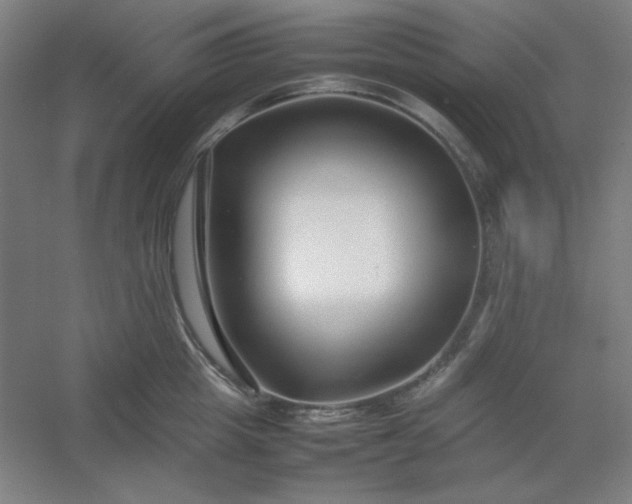 X0000054410857200508121723