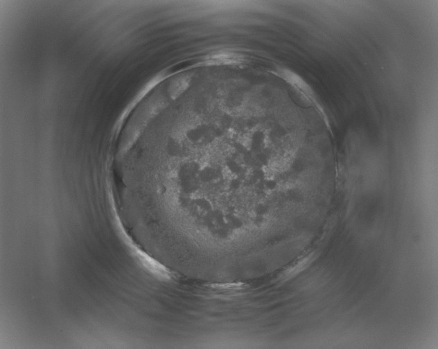 X0000054410859200508121723