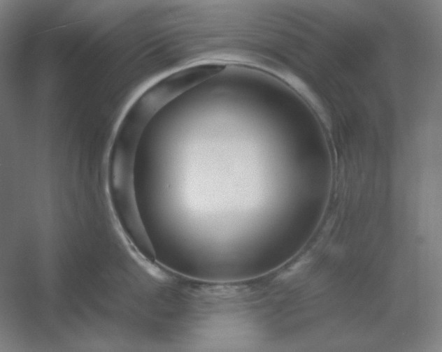 X0000054410862200508121723