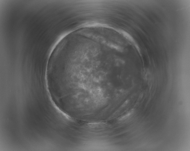 X0000054410863200508121723