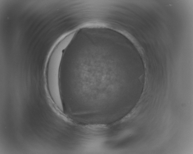 X0000054410864200508121723