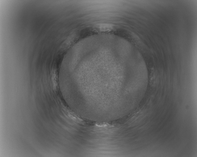 X0000054410866200508121722