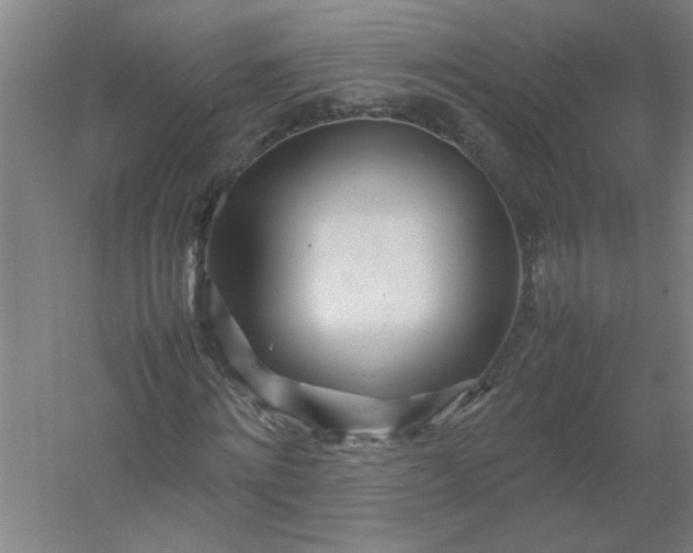 X0000054410868200508121722