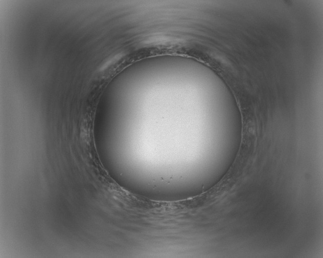 X0000054410869200508121722