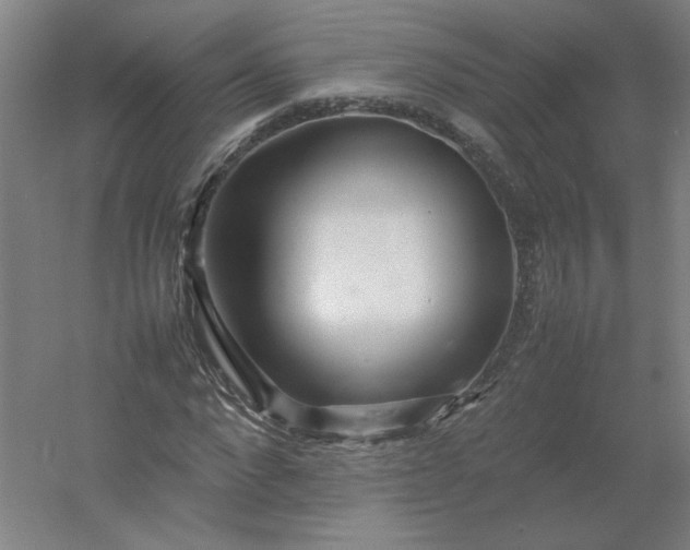 X0000054410872200508121722