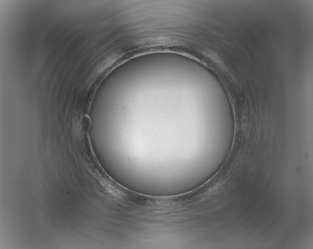 X0000054410873200508121722