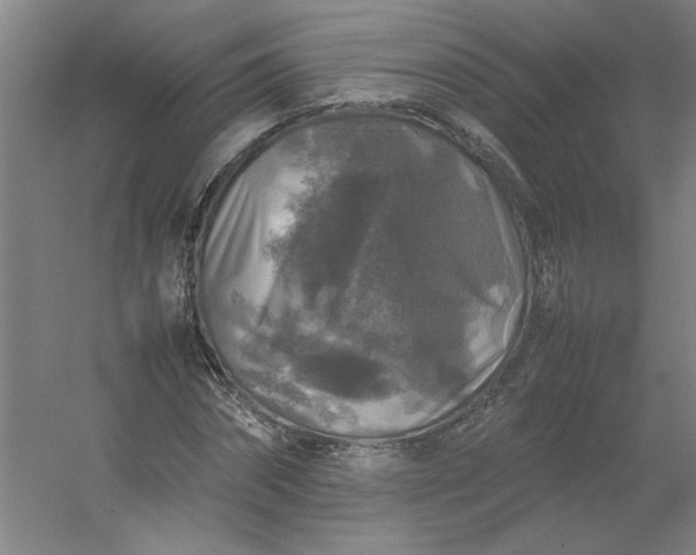 X0000054410874200508121722