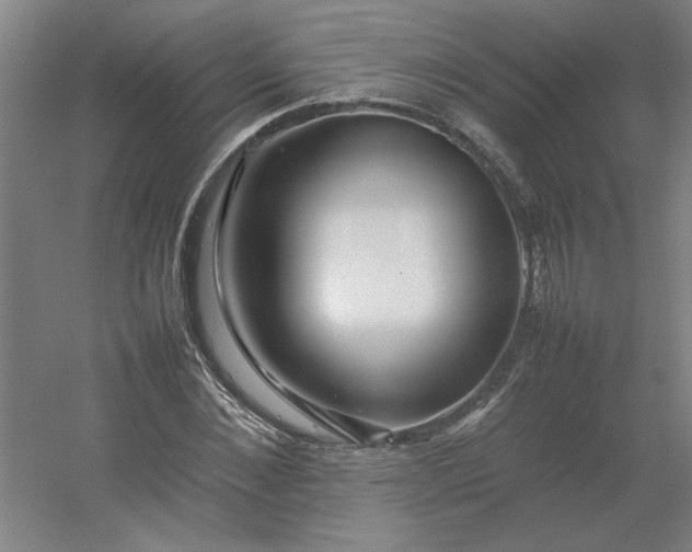 X0000054410876200508121722