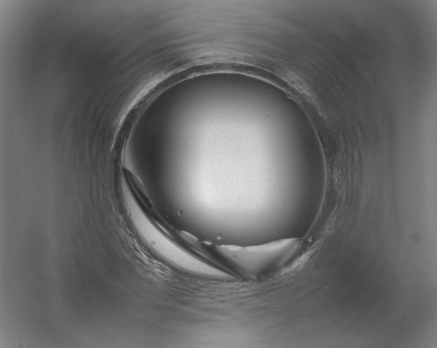 X0000054410877200508121722