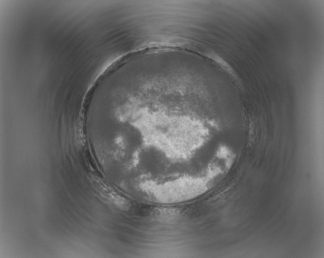 X0000054410878200508121722