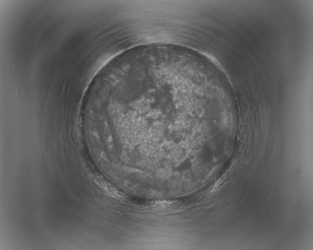 X0000054410879200508121722