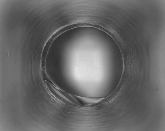 X0000054410880200508121722