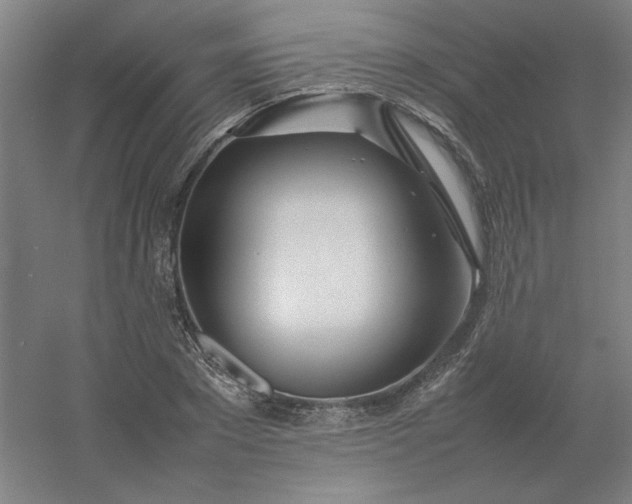 X0000054410881200508121722