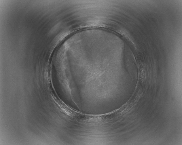 X0000054410882200508121722