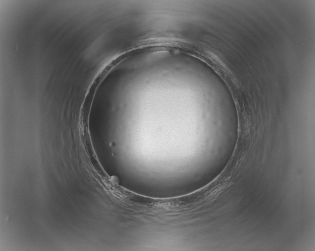 X0000054410883200508121722