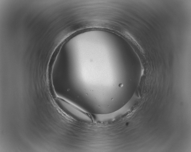 X0000054410884200508121722