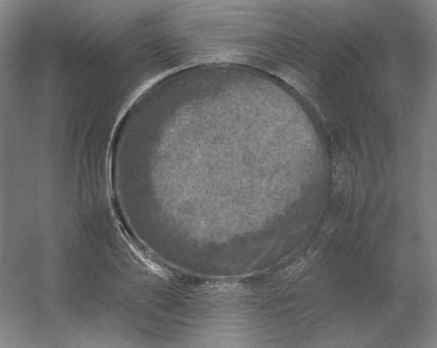 X0000054410886200508121722