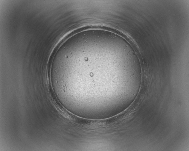 X0000054410887200508121722