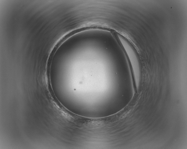 X0000054410888200508121722