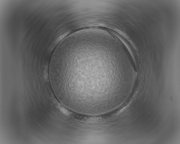 X0000054410889200508121722