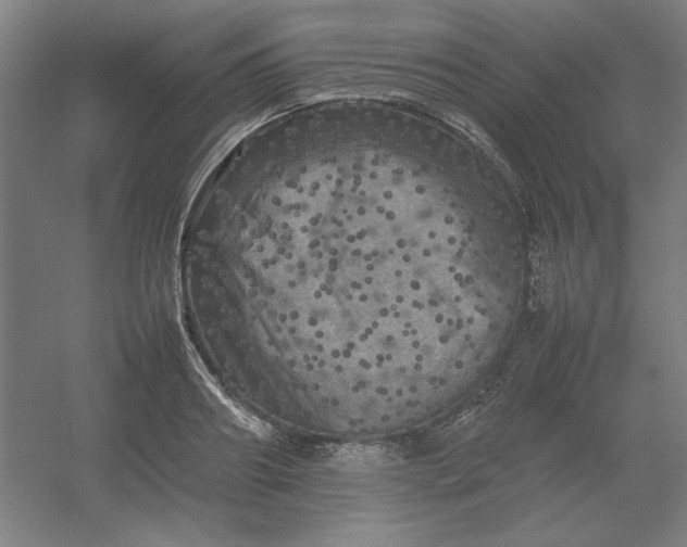 X0000054410890200508121722