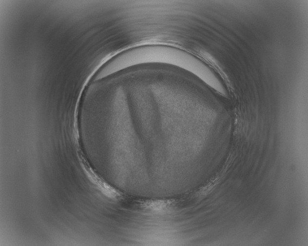 X0000054410892200508121722