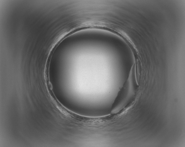 X0000054410893200508121722