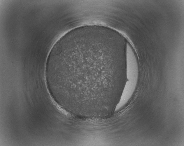 X0000054410895200508121722