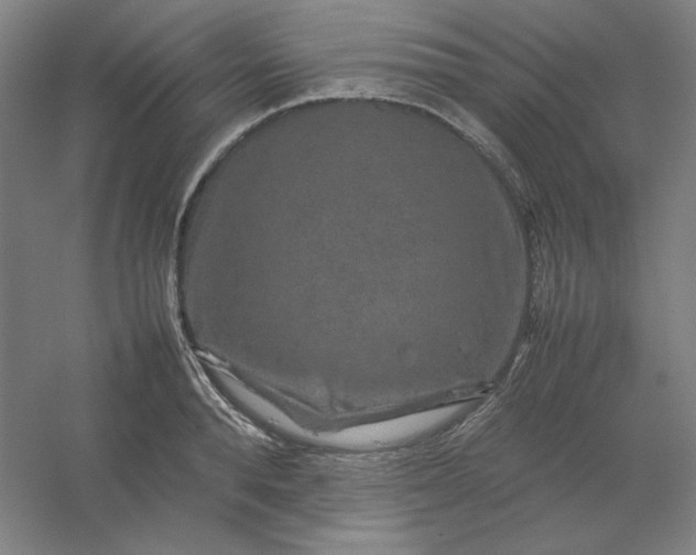 X0000054410896200508121722