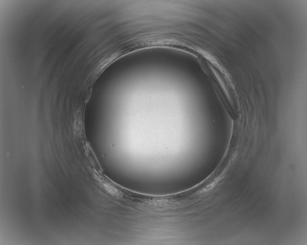 X0000054410897200508121722