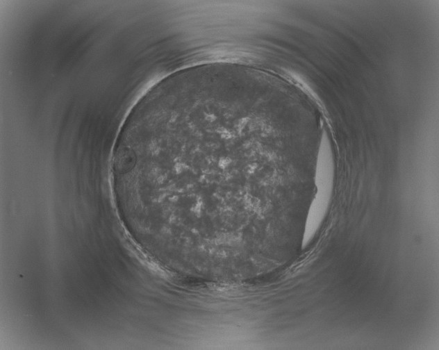 X0000054410899200508121722