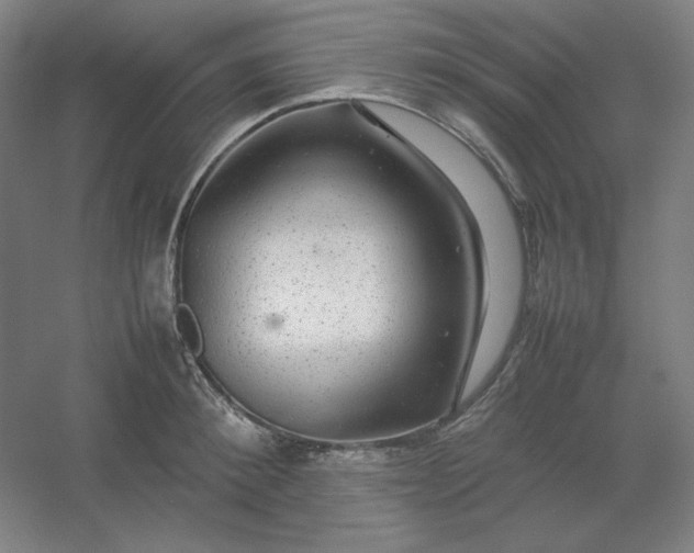 X0000054410900200508121722