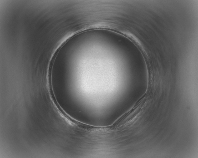 X0000054410902200508121722