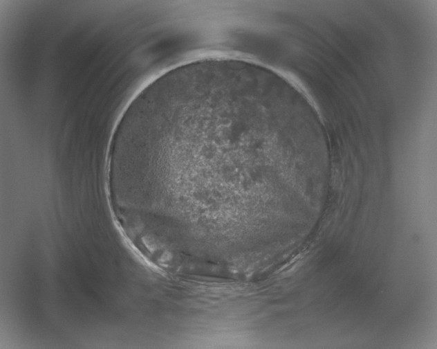 X0000054410903200508121722