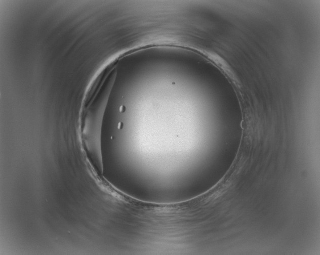 X0000054410904200508121722