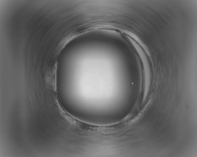 X0000054410905200508121722