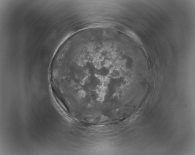 X0000054410907200508121722