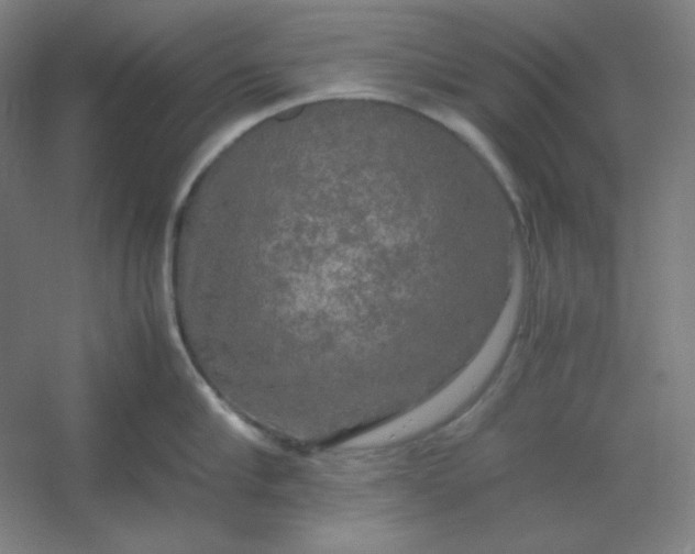 X0000054410910200508121722