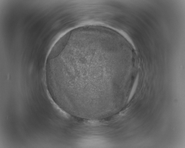 X0000054410911200508121722