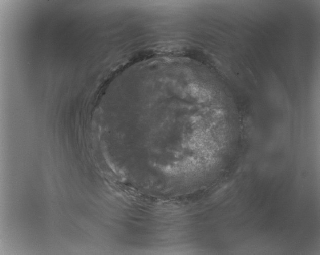 X0000054410913200508121721