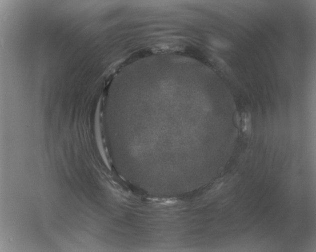 X0000054410915200508121721