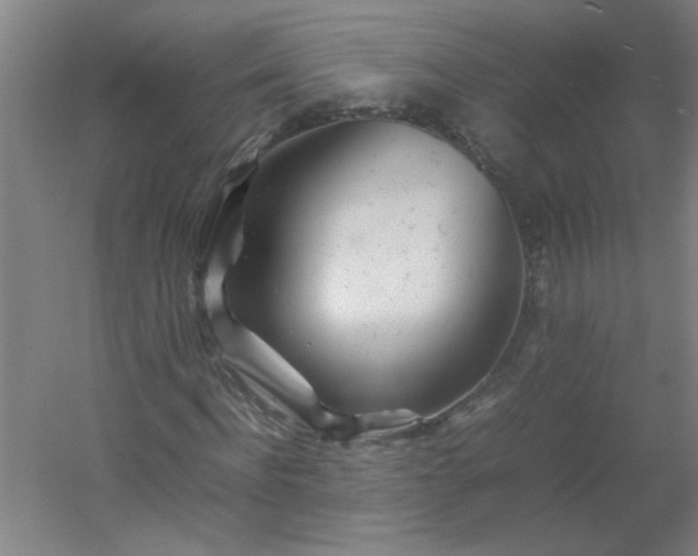 X0000054410916200508121721