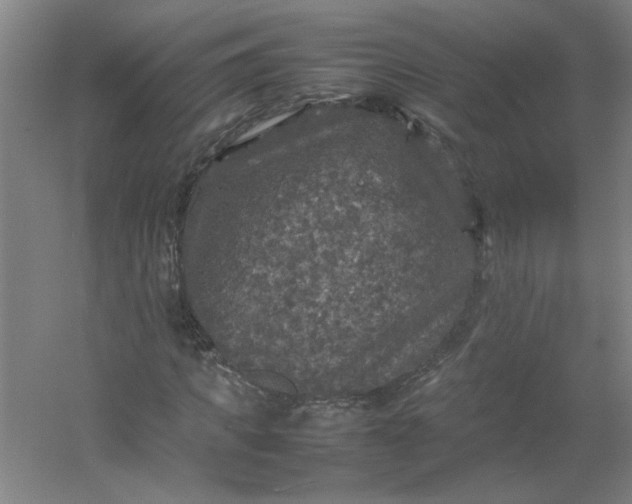 X0000054410917200508121721