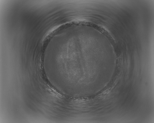 X0000054410919200508121721