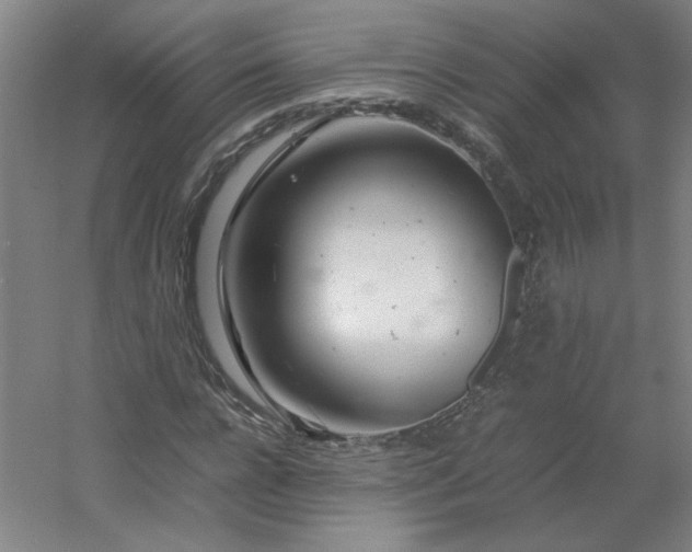 X0000054410920200508121721