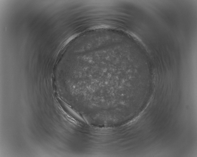 X0000054410921200508121721