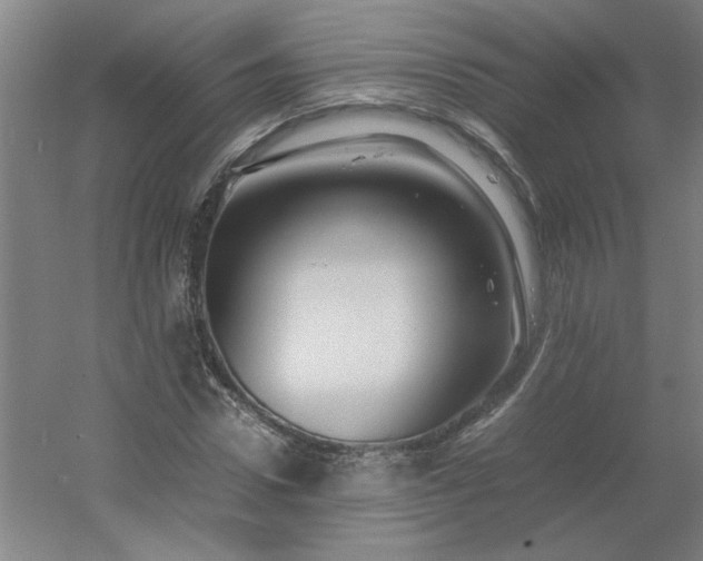 X0000054410922200508121721